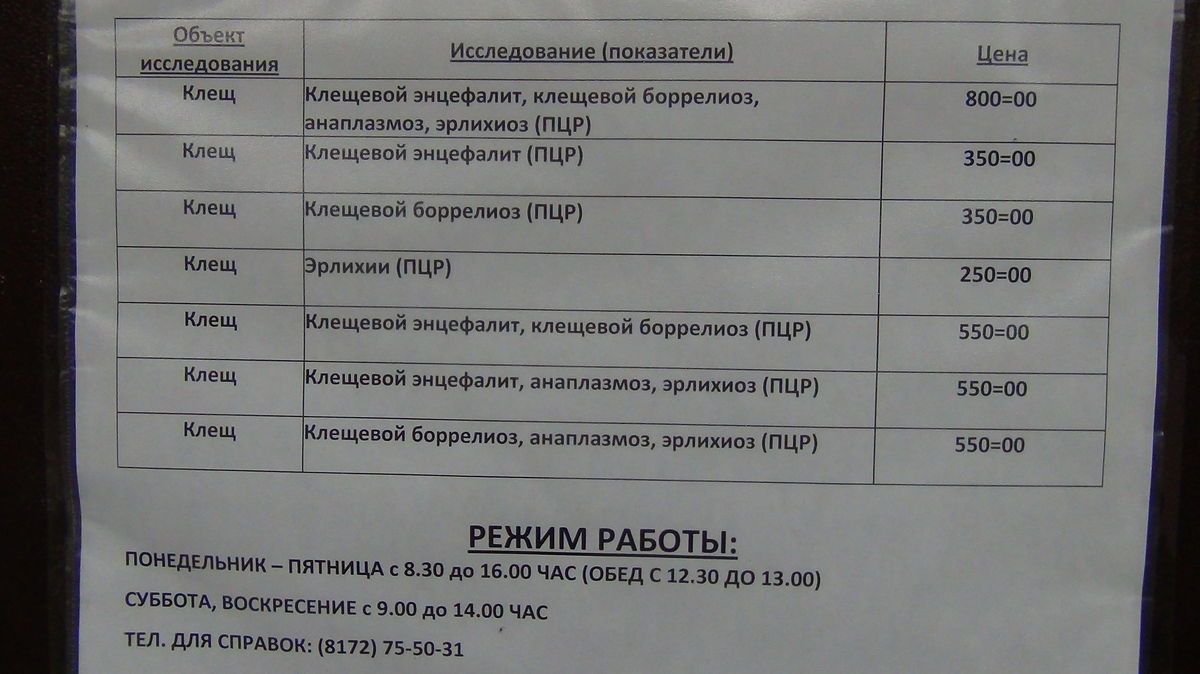 Укусы клещей. Куда сдать клеща на анализ? г. Вологда, ул. Яшина 1А | Разное